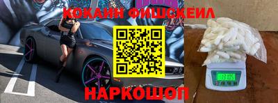 тгк Новодвинск