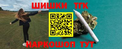тгк Новодвинск