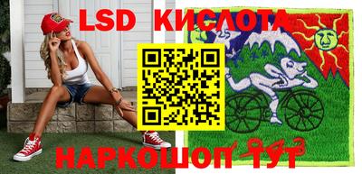 тгк Новодвинск