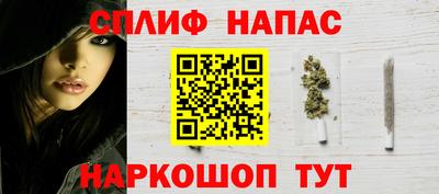 тгк Новодвинск