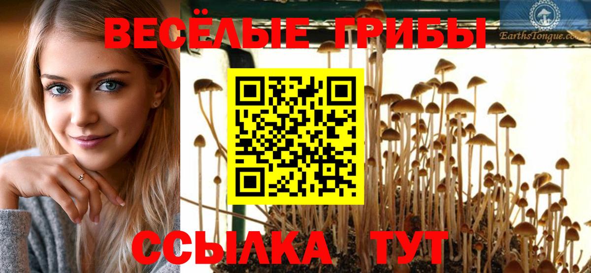Галлюциногенные грибы Cubensis  магазин продажи наркотиков  Урай  Вход с VPN 