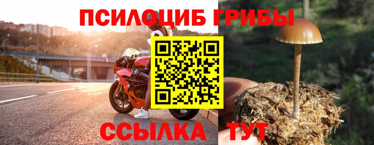 Галлюциногенные грибы Magic Shrooms Урай